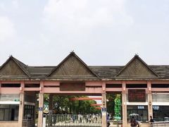 -上海都市菜园