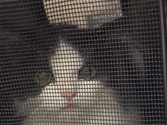 -佑安动物医院·全科·内窥镜中心(幸福巷店)