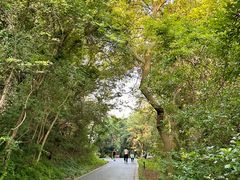 -大蜀山国家森林公园