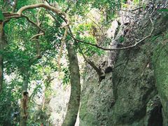 -七仙岭温泉国家森林公园