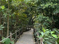 -武吉知马自然保护区