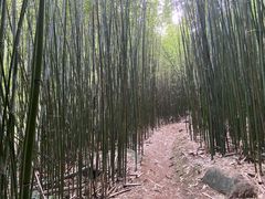 -井空里大峡谷
