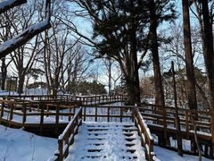 -北海道神宫