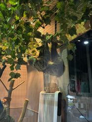 -未来动物城主题公园(正弘城店)