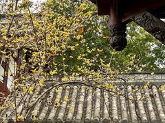 -棠湖公园