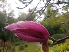 -晓港公园