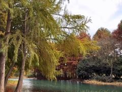 -贡湖湾湿地公园