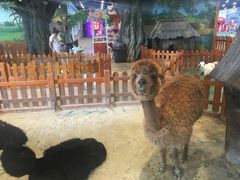 -华夏文旅海洋公园