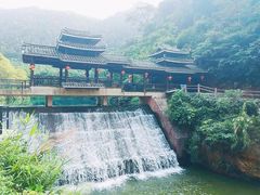 -羚羊峡古栈道森林公园