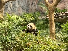 -石排湾郊野公园