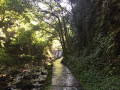 -夏霖九天银瀑风景区