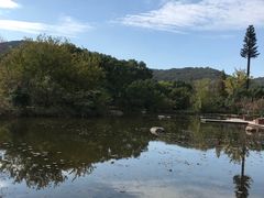 -白马涧龙池景区