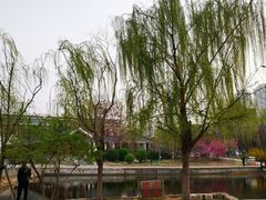 -绿岛公园(滨海新区)