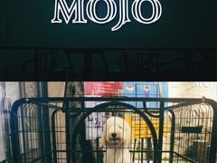 -MOJO密室逃脱(中街旗舰店)