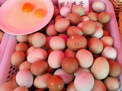 -长兴慧子土特产茶行