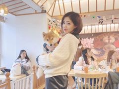-豆柴町-柴犬主题狗咖(红鼎国际C座店)