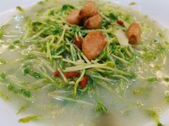 上汤豆苗-欢乐海岸美食联盟
