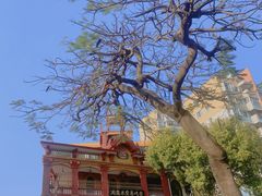 -汕头市小公园