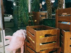 大堂-WHEN PIGS FLY当猪飞