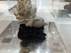 -南京路步行街
