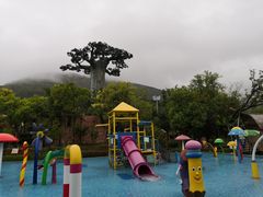 -苏州乐园森林水世界