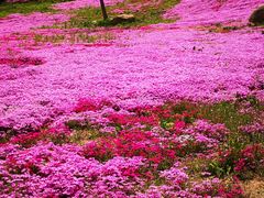 -昆嵛山石门里景区