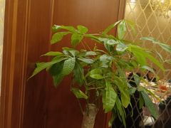 -金时代顺风大酒店(金山店)