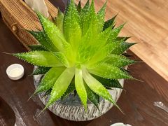 -溪畔•新徽菜(碧湖云溪店)