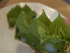 抹茶挞-猫里有甜