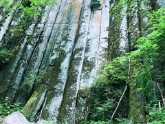 -望天鹅景区
