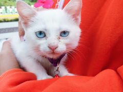 -惠康宠物医院(华能路店)