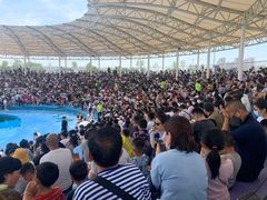 -华夏文旅海洋公园