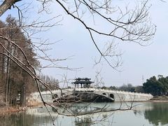 -东湖落雁景区