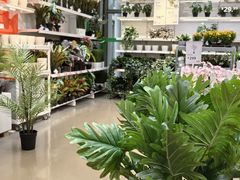-宜家家居(宝山商场店)