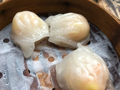 -琼海·狮椰美食楼