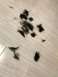 -龙文宝贝上门婴儿理发满月剃胎毛(黄浦店)