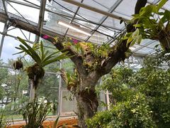 -国家植物园南园