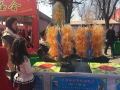 -西安汉城湖景区