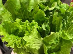 -八合里牛肉火锅(新洲店)
