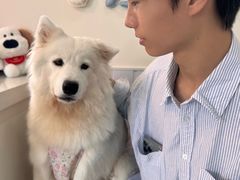 -汪说·狗咖·拼豆·宠物周边DIY(旺城大厦店)