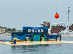 -秦皇岛乐岛海洋王国