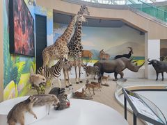 -陕西自然博物馆