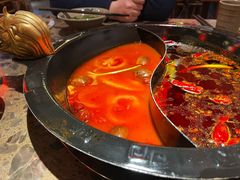 -渝大狮毛肚老火锅(文峰城市广场店)