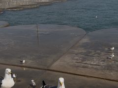 -星海广场