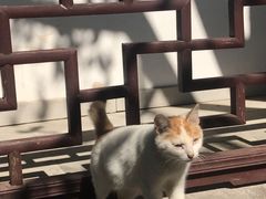 -雨花胜境