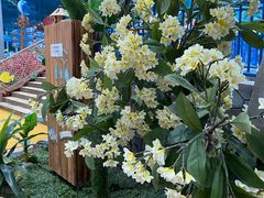 -青岛东方影都融创水世界