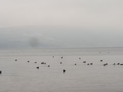 -阳宗海湿地