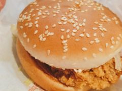 麦辣鸡腿汉堡经典中薯条套餐-麦当劳(西单明珠店)