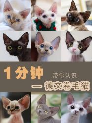 -HEYAN荷妍专业脱毛连锁机构