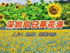 -光明小镇欢乐田园